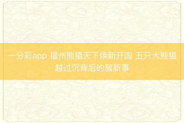 一分彩app 福州熊猫天下焕新开园 五只大熊猫越过沉背后的簇新事